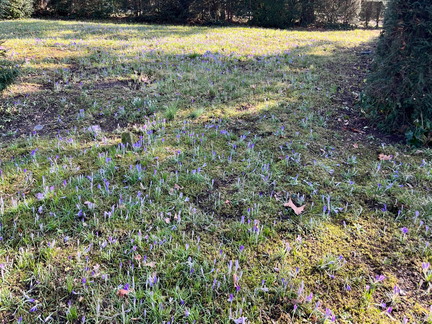 23-02-13 12-43-38 4177